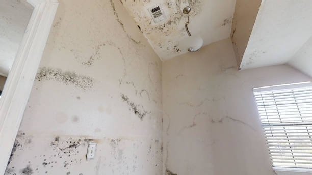 Best Residential Mold Inspection & Testing  in Garland, NC