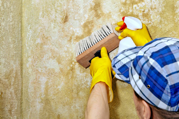 Best Biohazard Mold Removal  in Garland, NC