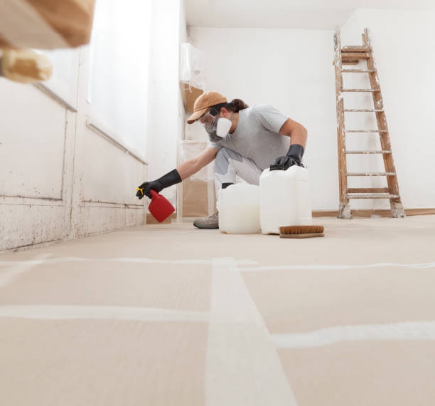 Best Basement Mold Removal  in Garland, NC