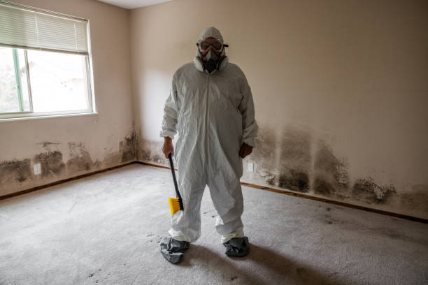 Biohazard Mold Removal in Garland, NC